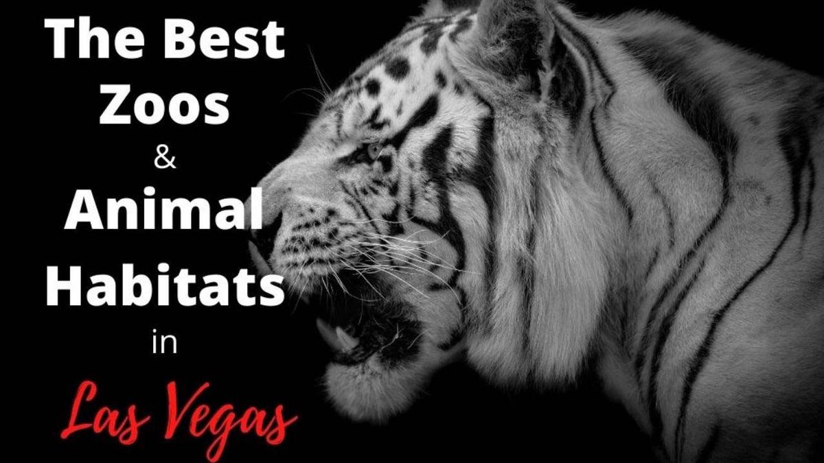 Zoos and Animals in Las Vegas