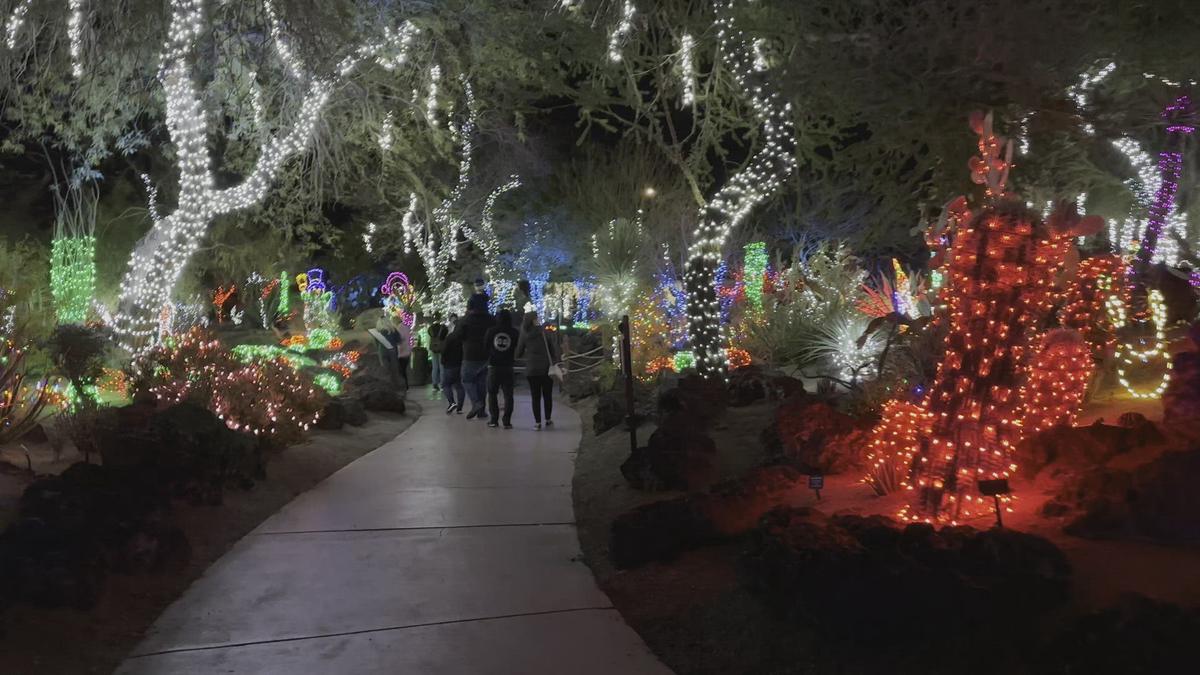 LIVE Street Views of the Las Vegas Strip
