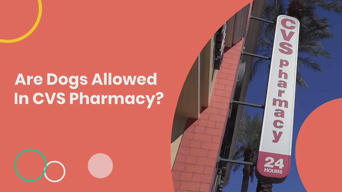 'Video thumbnail for Are dogs allowed in CVS Pharmacy?'