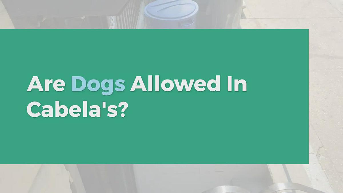 'Video thumbnail for Are Dogs Allowed in Cabelas'