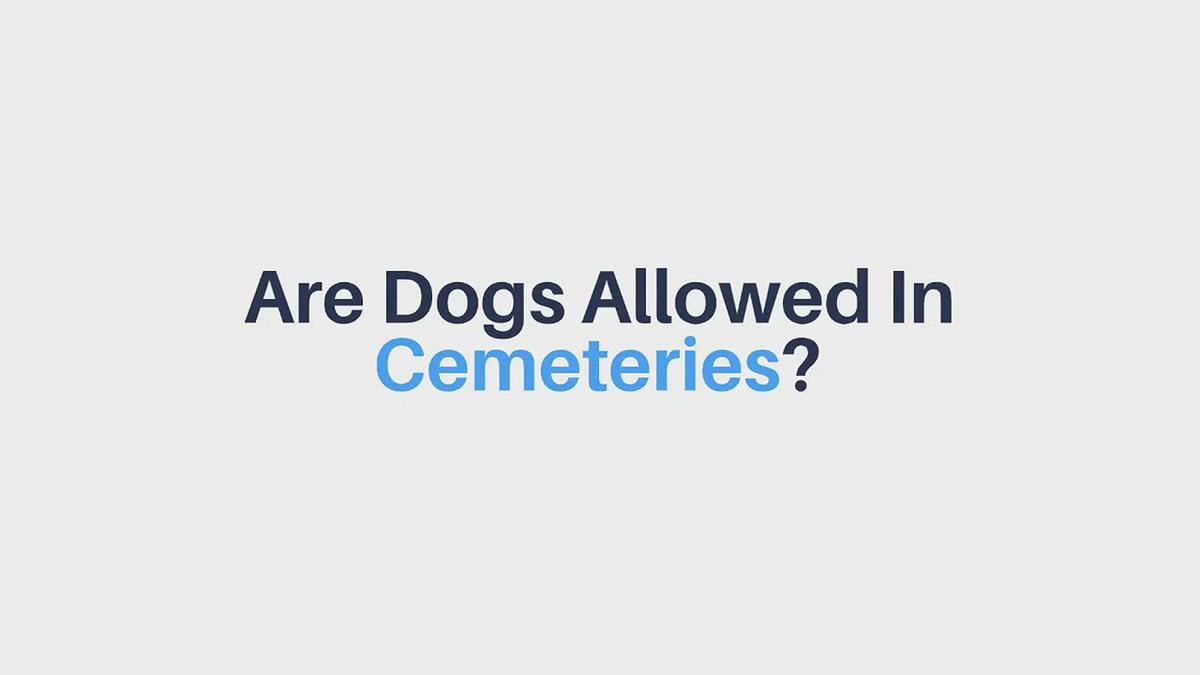 'Video thumbnail for Are Dogs Allowed in Cemeteries?'