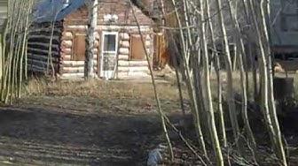 'Video thumbnail for A walk through part of famous Ghost Town St. Elmo'