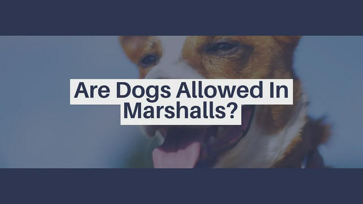 'Video thumbnail for Are Dogs Allowed in Marshalls'