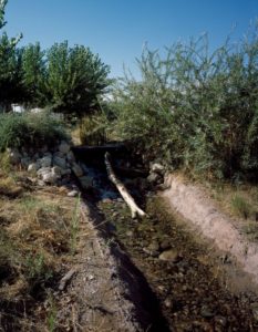 remant of natural spring at mormon fort in las vegas