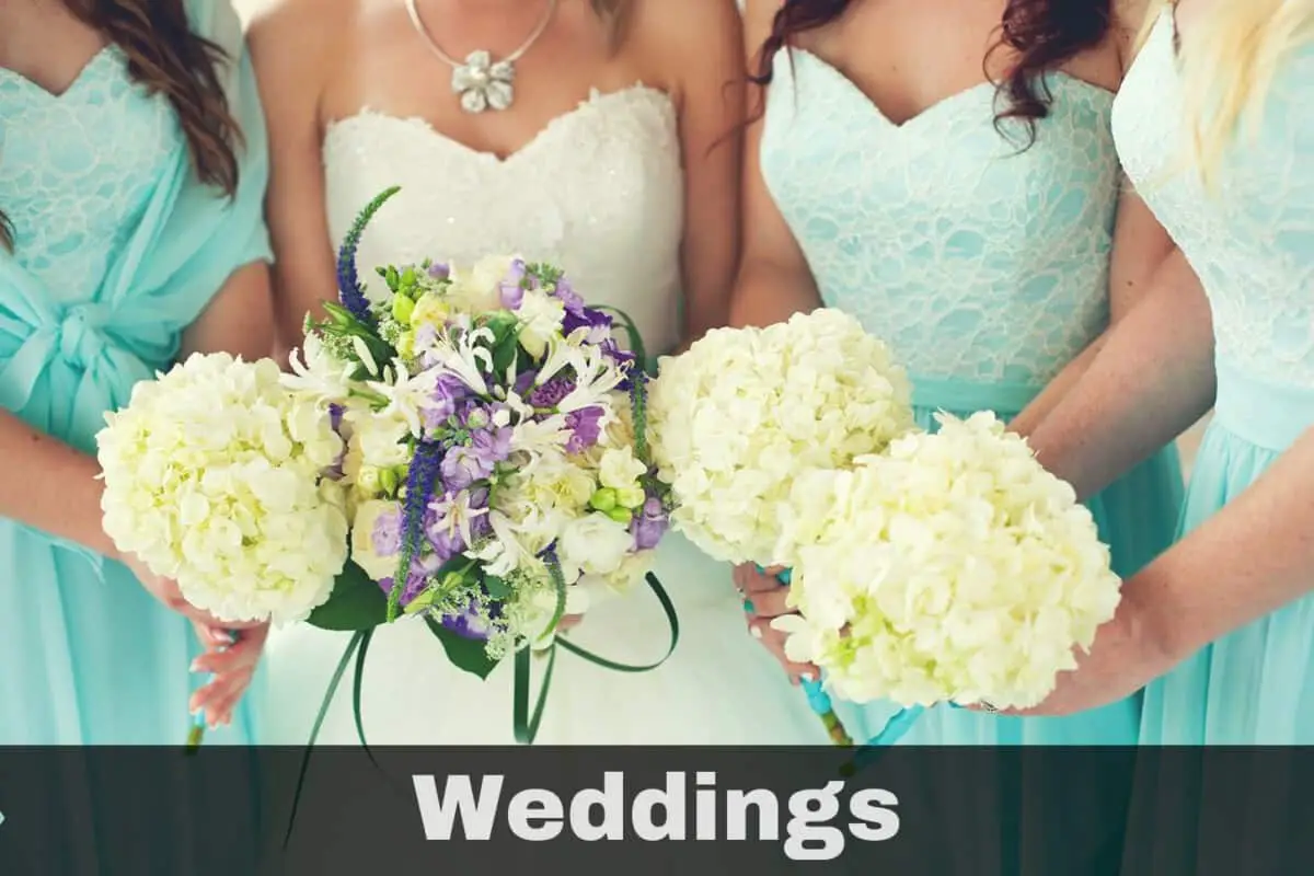 las vegas wedding deals