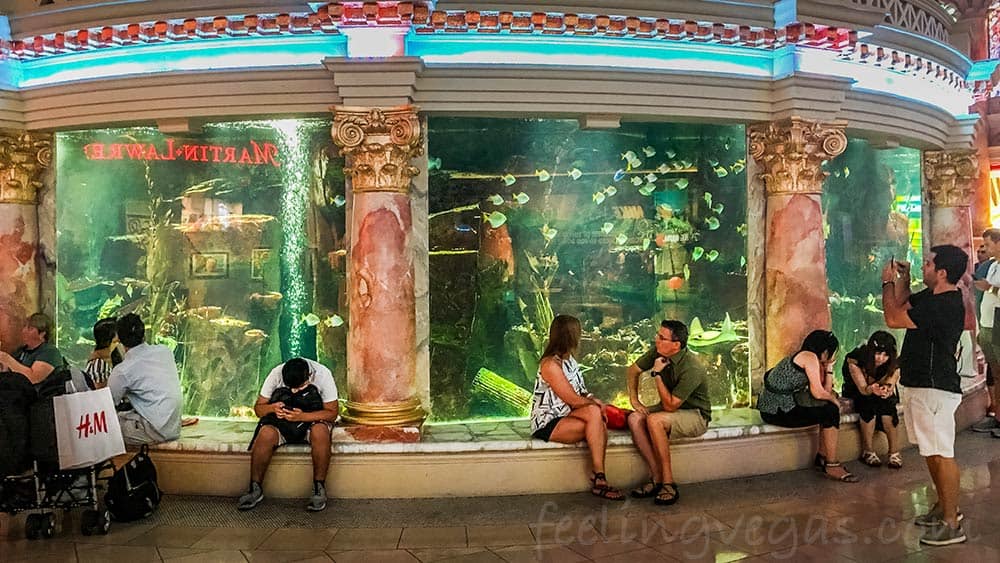 the atlantis aquarium in the forum shops