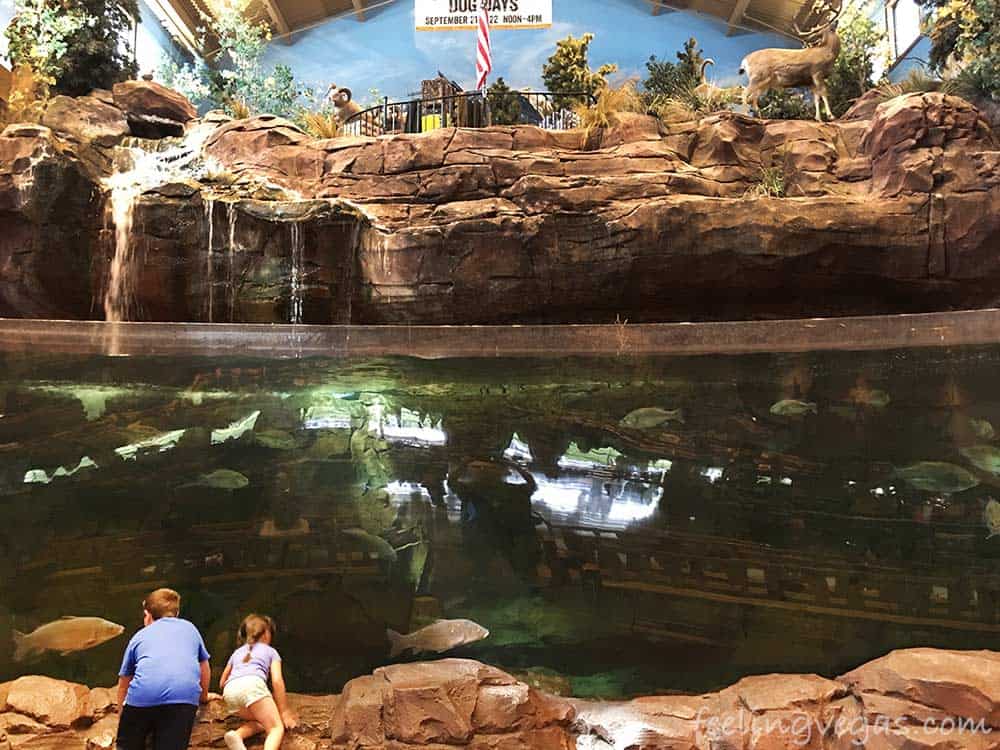 Freshwater aquarium at Bass Pro Shops Outdoor World in Las Vegas.