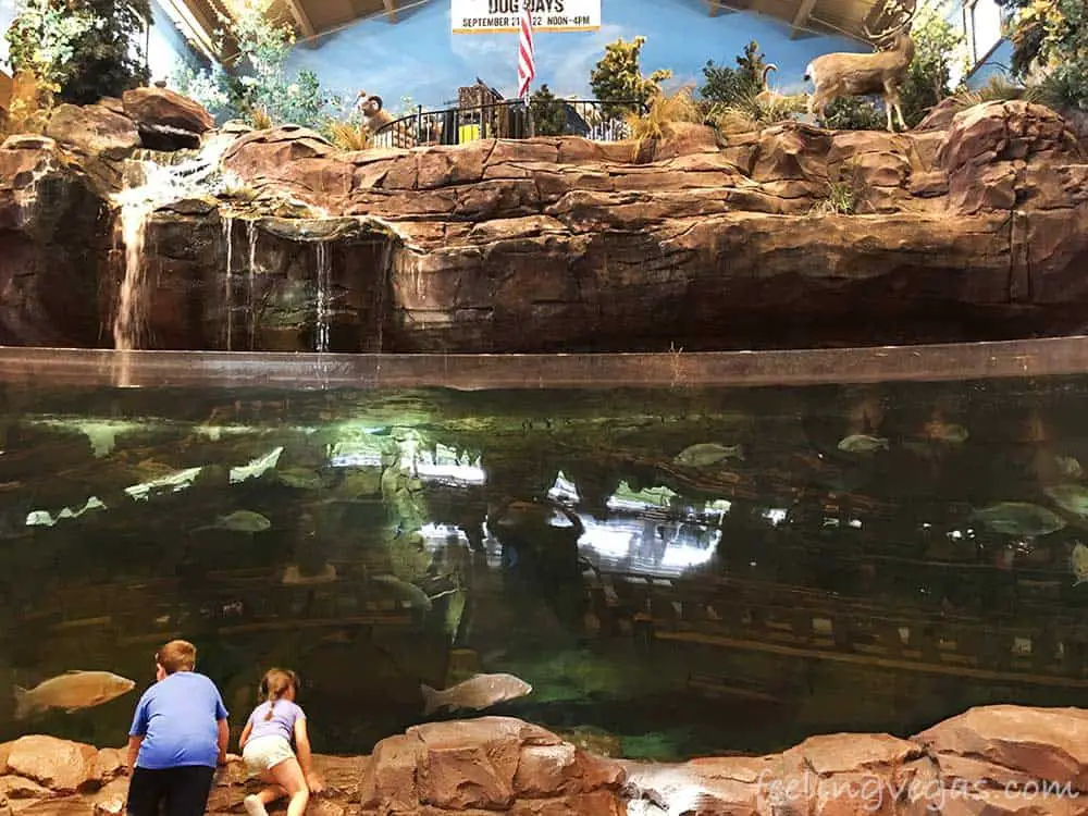 9 Best Aquariums in Las Vegas (Top Aquarium Guide) 8 Freshwater aquarium at Bass Pro Shops Outdoor World in Las Vegas.