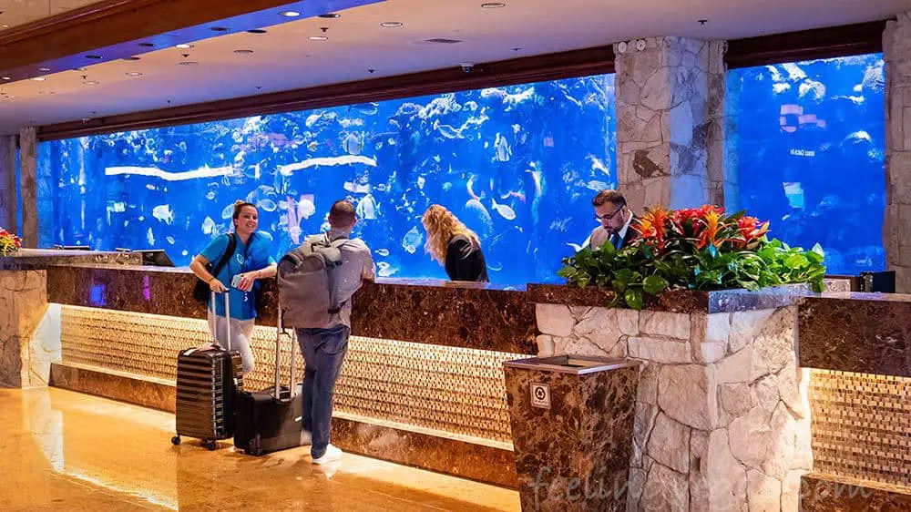 The aquarium behind the check-in desk in the lobby of The Mirage Hotel in Las Vegas.