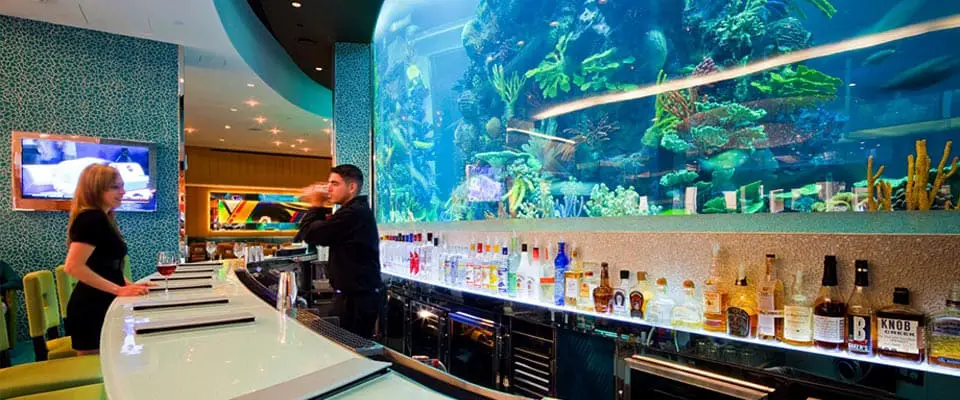 9 Best Aquariums in Las Vegas (Top Aquarium Guide) 11 The aquarium at the Chart House at Golden Nugget casino in Las Vegas.