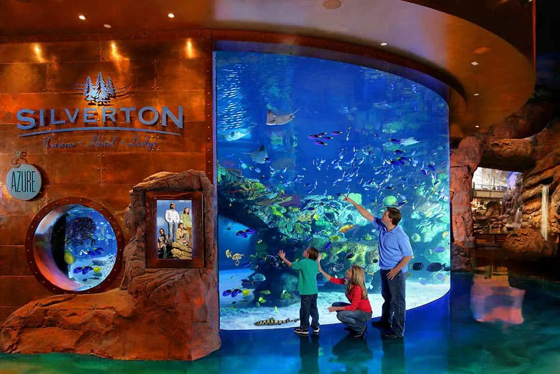 silverton casino aquarium in las vegas