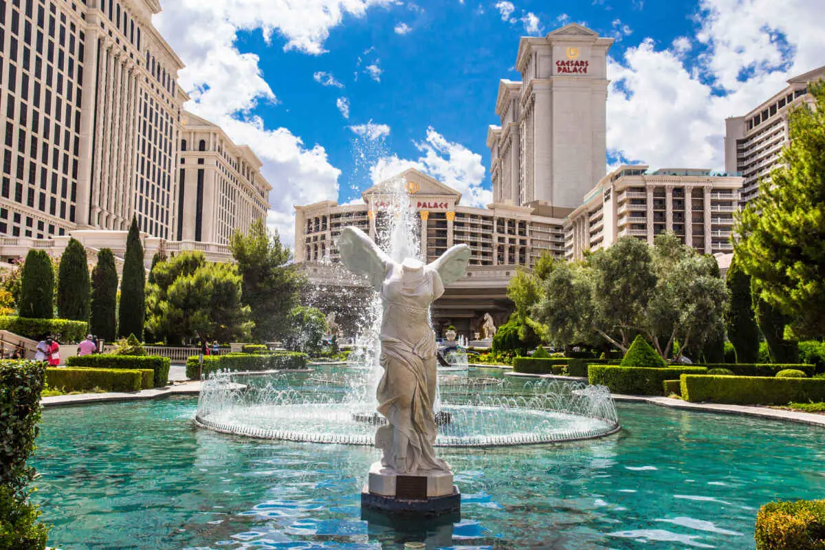 Are Dogs Allowed in Las Vegas Casinos? (Dog Friendly Las Vegas) 5 Caesars Pet Stay Program Rules Las Vegas
