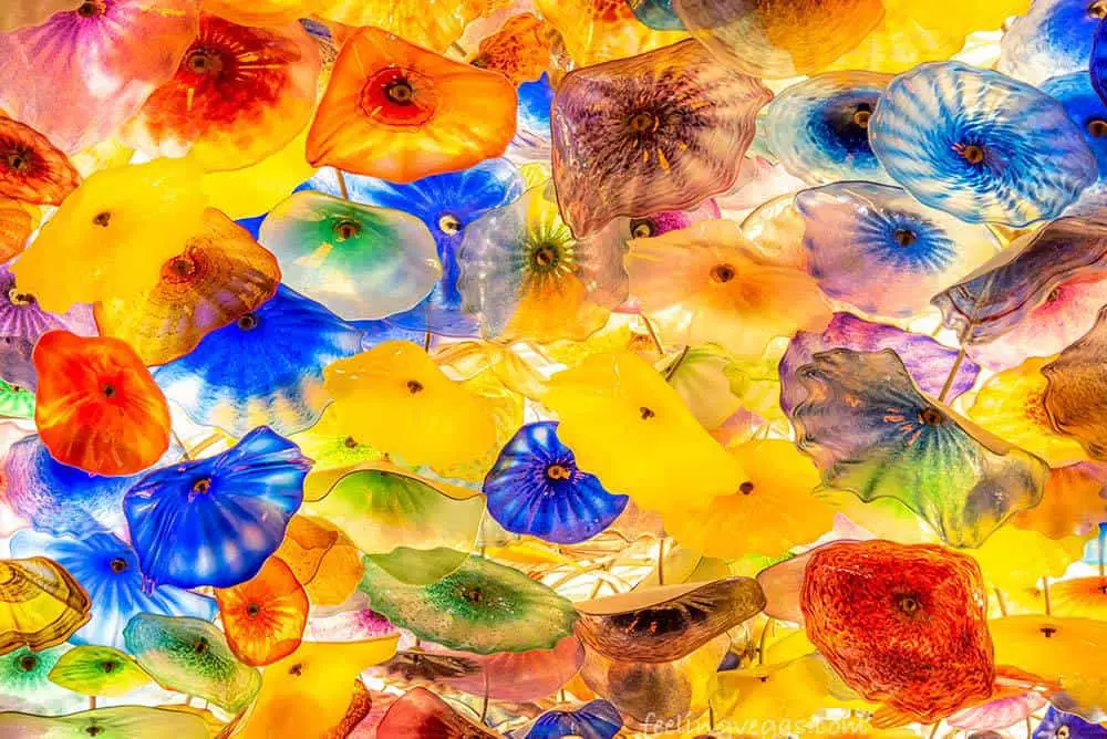 Why The Bellagio Lobby Is An Attraction All On Its Own 1 Color glass flowers adorne the ceiling in the Bellagio lobby.