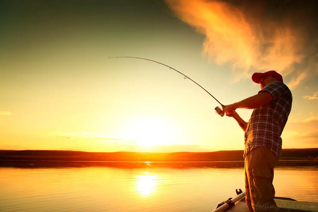 Where to Fish in Las Vegas: 14 Best Spots Revealed 1 fishing in and around las vegas