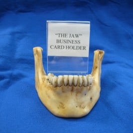 Clark County Coroner Gift Shop: Jawbone Business Card Holder