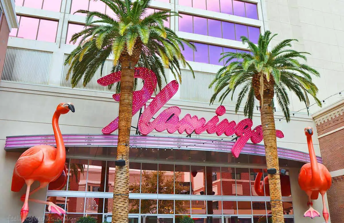 Parking fees at the Flamingo Hotel and Casino in Las Vegas