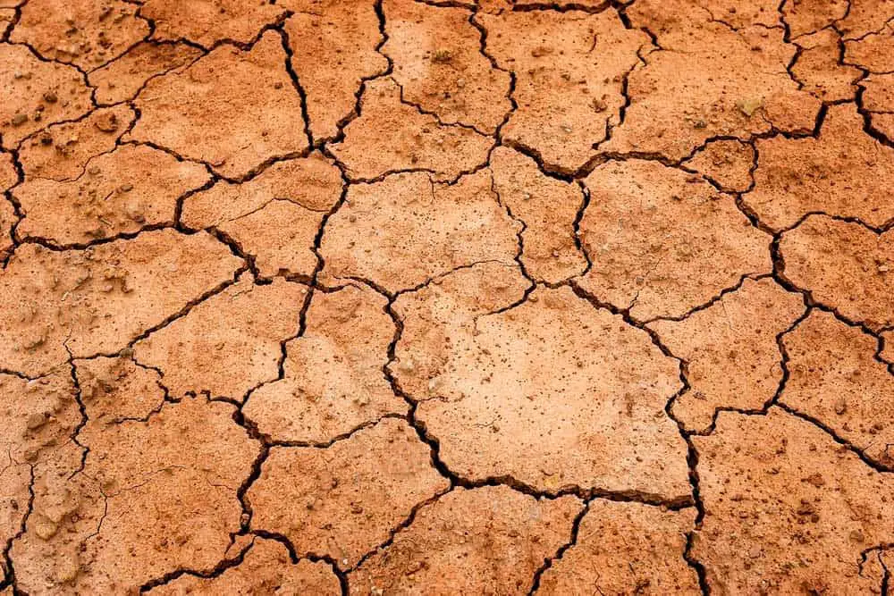 Dry cracked earth showing a lack of water in Las Vegas.