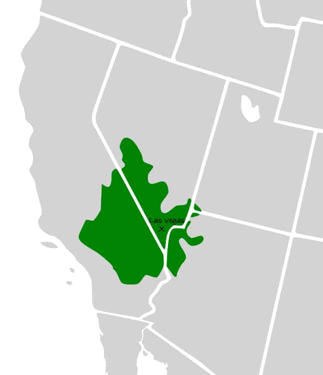 The Mohave Desert region covers parts of four states including California, Nevada, Arizona, and Utah | CC