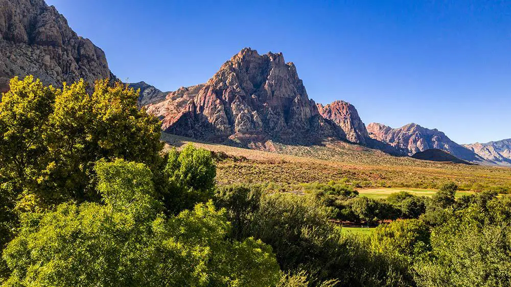 Spring Mountain Ranch landscape