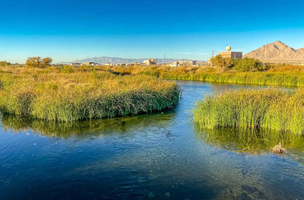 wetlands park las vegas