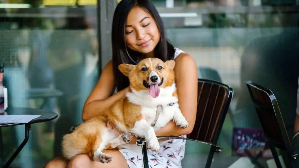 20 Best Dog Friendly Restaurants in Las Vegas (Yum!) 2 Las Vegas is a pet-friendly town!