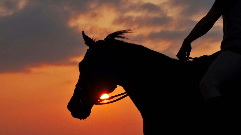 Horseback riding in Las Vegas at sunset.