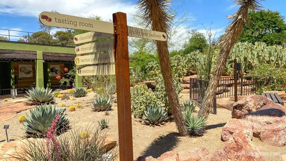 Ethel M cactus garden