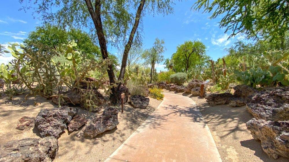 Pathway a Ethel M cactus garden.