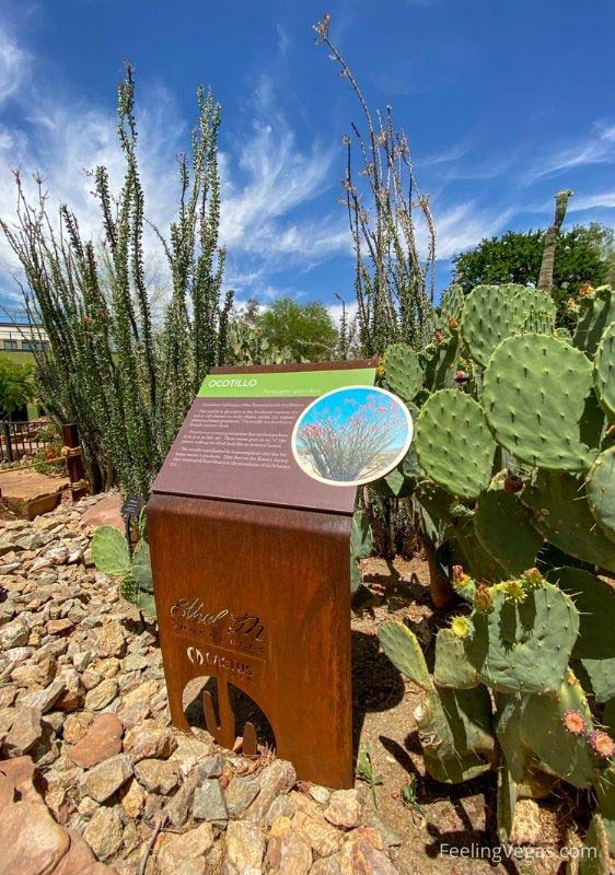 Interperative sign at the Ethel M Cactus Garden