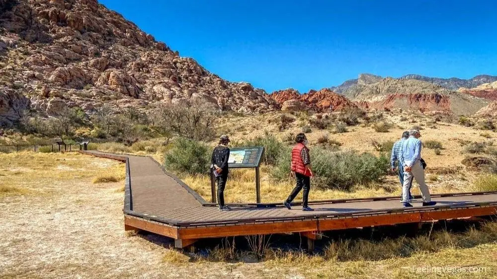 Getting to Red Rock Canyon From Las Vegas (Stops & Hikes) 7 Red Spring boardwalk near Red Rock Canyon in Las Vegas.