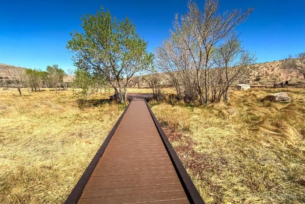 Red Spring boardwalk leads through a grassy meadow.