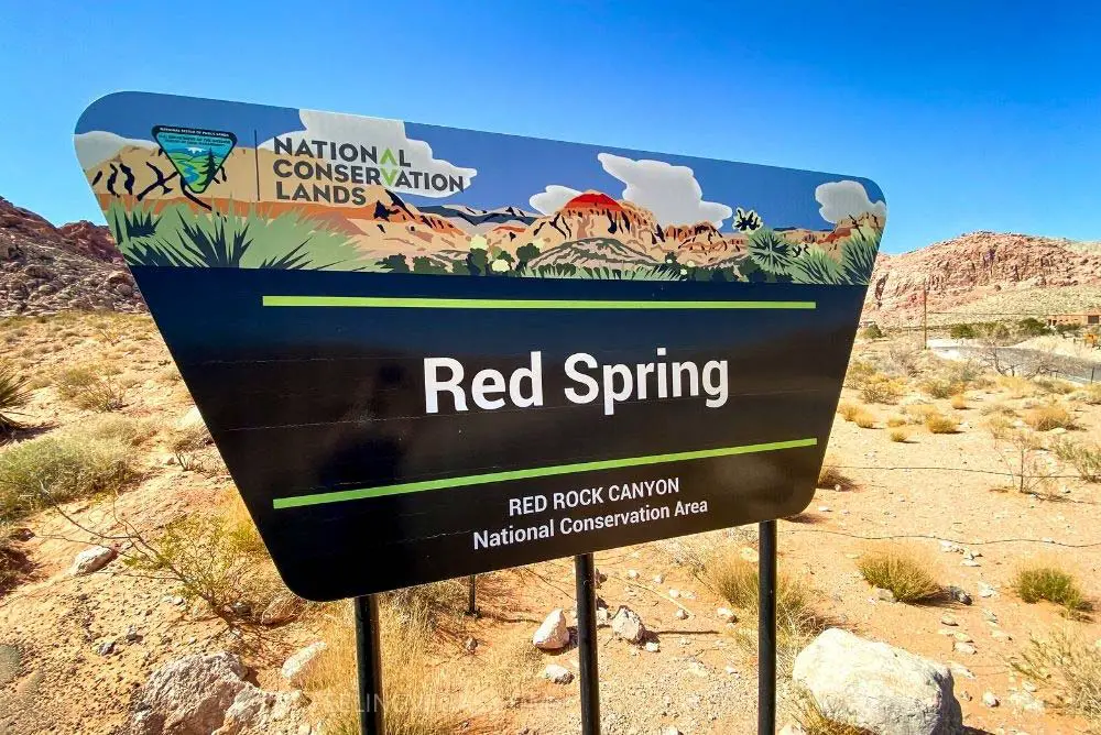 Red Spring Boardwalk & Picnic Area Las Vegas (w/Pictures) 1 Red Spring in Las Vegas.
