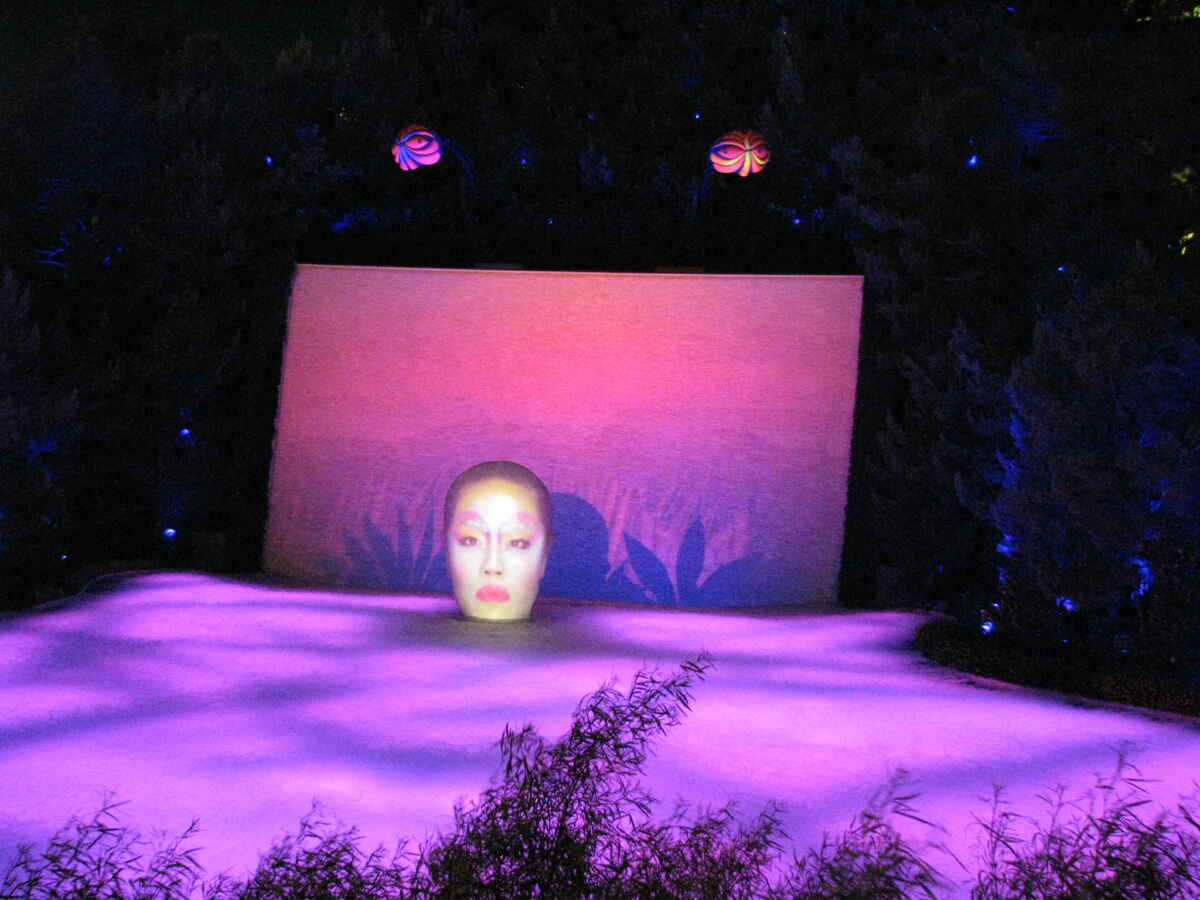 The 6 Best Las Vegas Dinner Shows (Delicious Vegas Fun!) 4 Lake of Dreams at Wynn