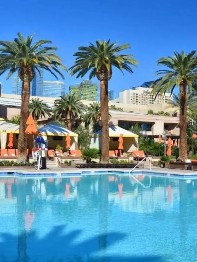 MGM Grand Pool Complex 23 Things - Cropped Mgm Grand Pool 1
