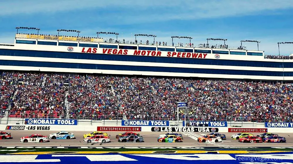 How Big is the Las Vegas Motor Speedway? (What to Know) 1 NASCAR race: How big is Las Vegas Motor Speedway