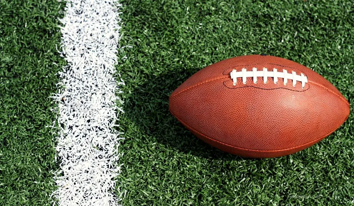 Tour Las Vegas Raiders Stadium (Allegiant Stadium Inside & Out) 4 Las Vegas Raiders stadium tour