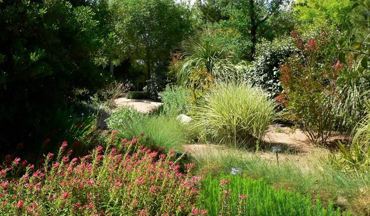 What Planting Zone Is Las Vegas (Explained) 3 Which Plants Grow Well in Las Vegas Plant Hardiness Zones