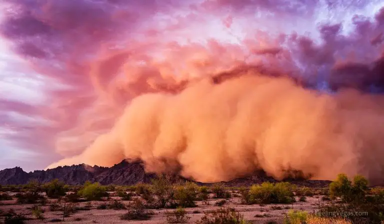 How Often Does Las Vegas Get Dust Storms? (Explained)