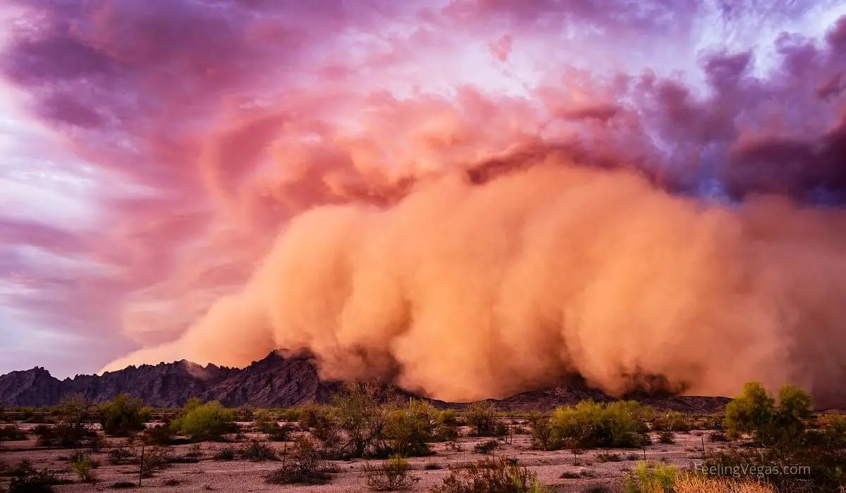 How Often Does Las Vegas Get Dust Storms? (Explained) 1 How Often Does Las Vegas Get Dust Storms