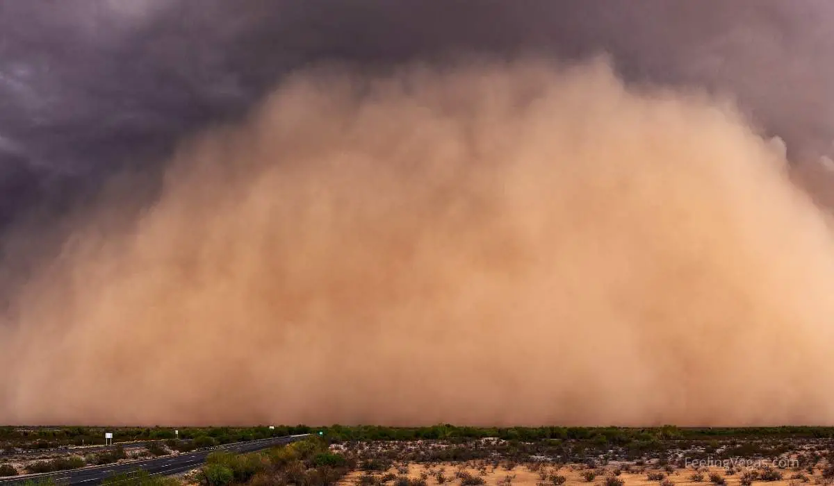 How Often Does Las Vegas Get Dust Storms? (Explained) 2 What To Do When There’s a Dust Storm Warning in Vegas