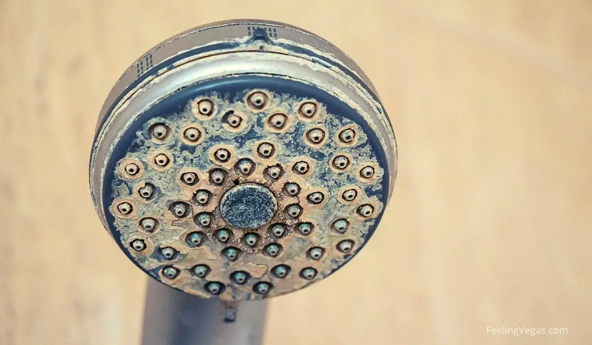 This Is Why the Water Tastes So Bad in Las Vegas (Answered) 2 hard water calcium scale on shower head in las vegas