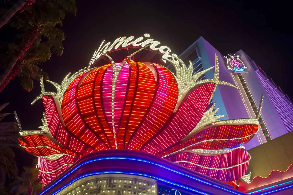 Do You Have To Check Out of the Flamingo Hotel? (Answered) 4 Additional Fees for Staying at the Flamingo Hotel