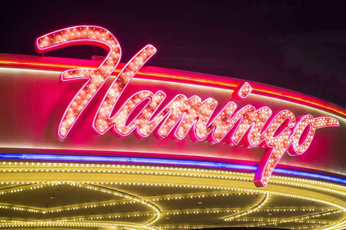 Do You Have To Check Out of the Flamingo Hotel? (Answered) 2 Can You Check Out of the Flamingo Hotel Online