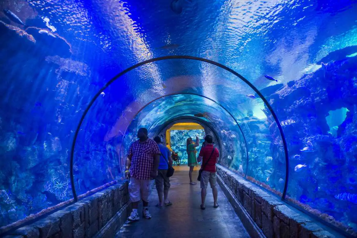 Shark Reef is a cool attraction at Mandalay Bay