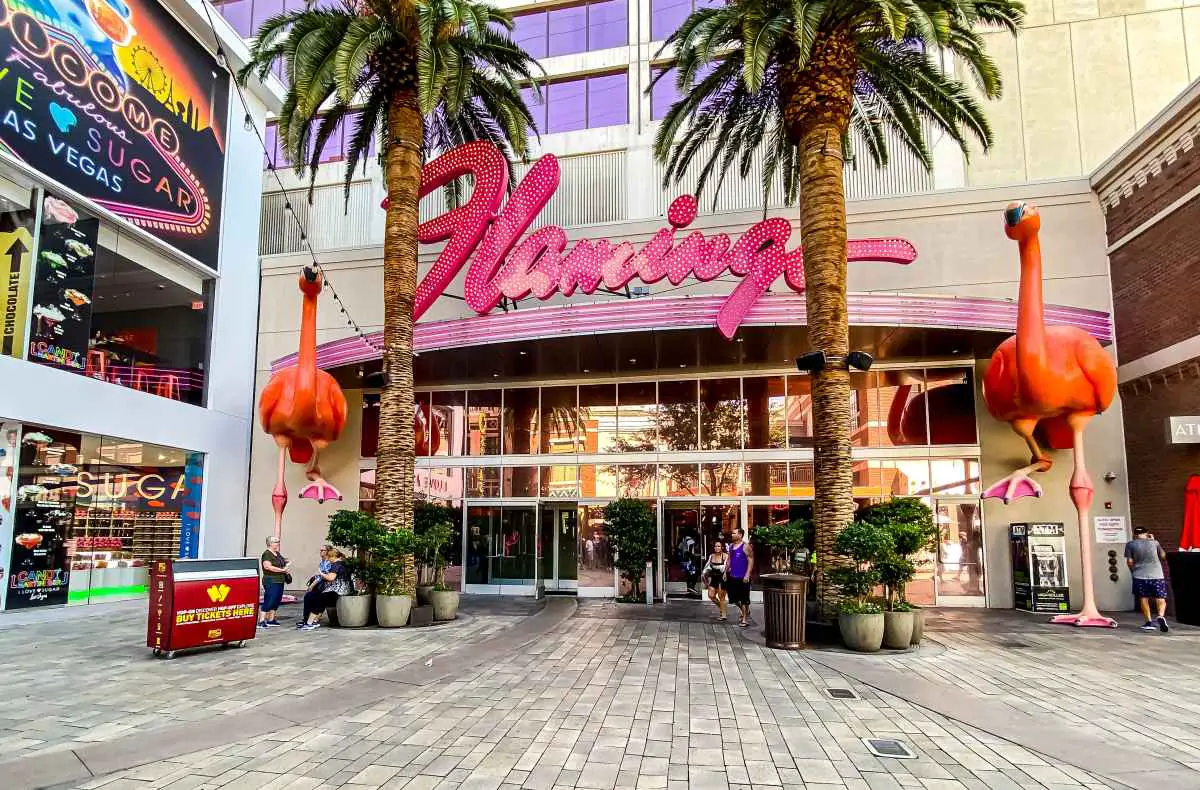 Do You Have To Check Out of the Flamingo Hotel? (Answered) 1 checking out flamingo hotel las vegas
