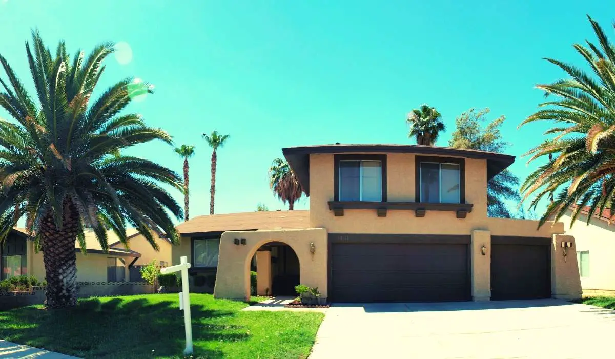 Why Does Las Vegas Have So Many Palm Trees? (Answered) 4 Homeowners in Vegas Got on Board With Palm Trees