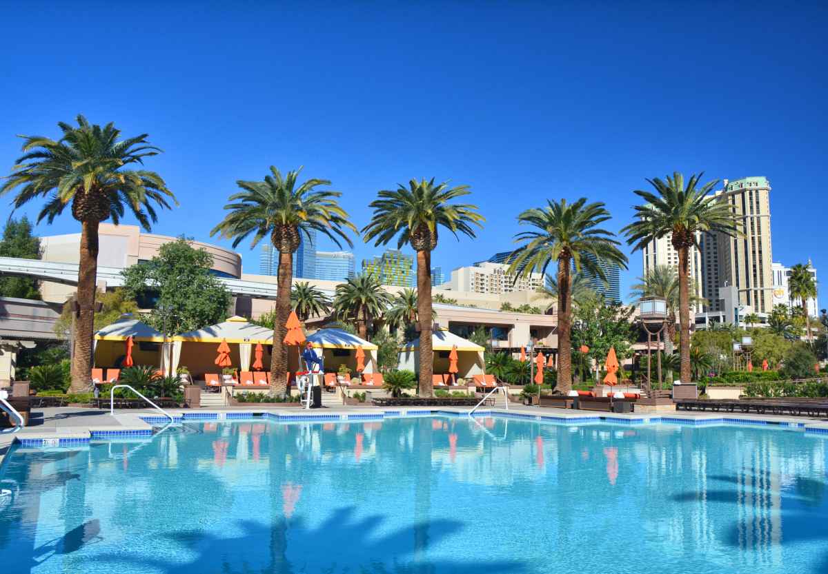palm trees surround the mgm grand pool in las vegas
