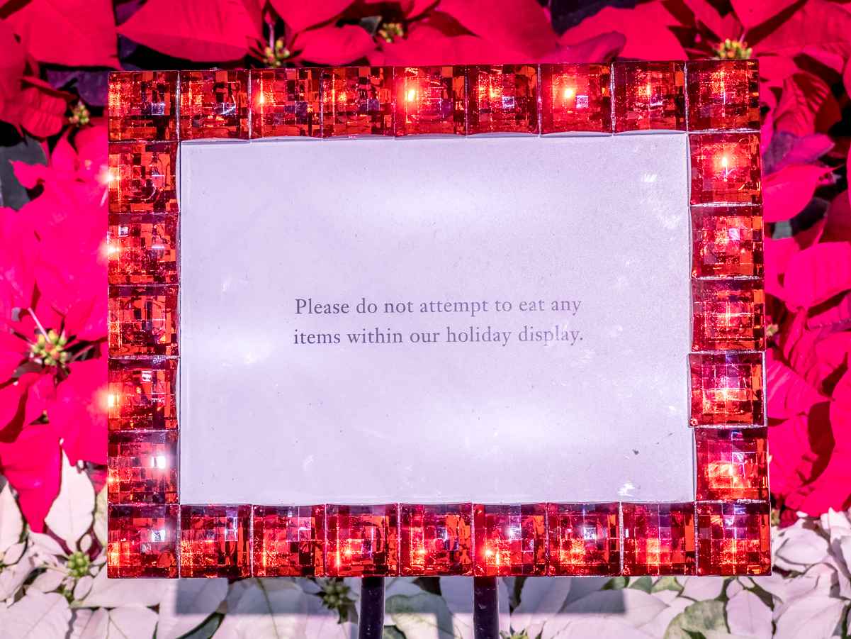 2022 Bellagio Conservatory Christmas (Photo Gallery) 20 Sign at the Bellagio Conservatory asking visitors not to try and eat any of the items on display, Christmas 2022