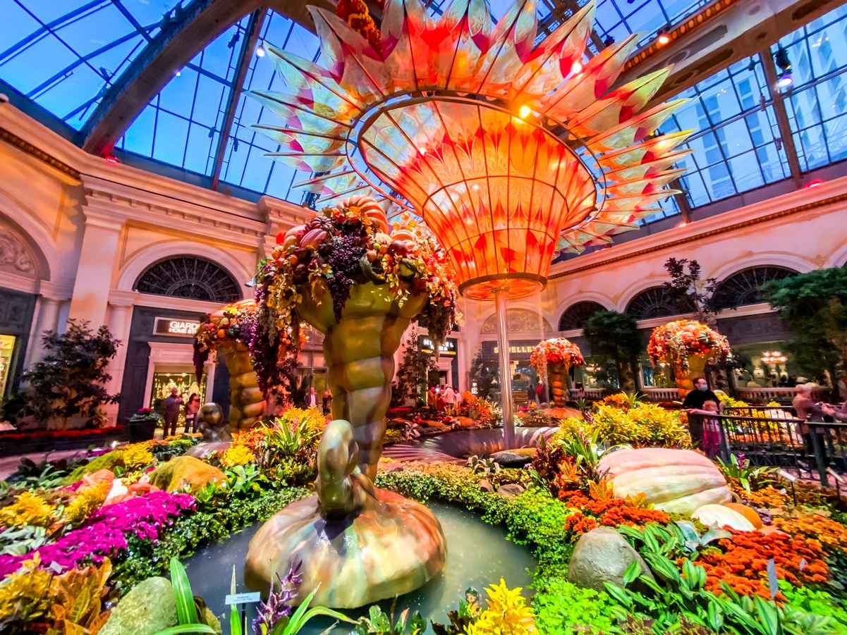 Discover The Best Things to Do in Vegas โ No Gambling Required! 7 Bellagio Conservatory