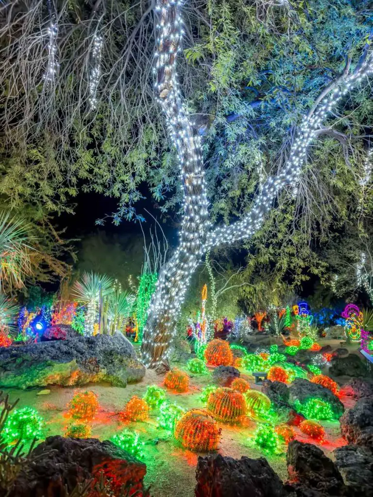 Ethel M's Annual Holiday Cactus Garden Christmas Lights 2023 FeelingVegas
